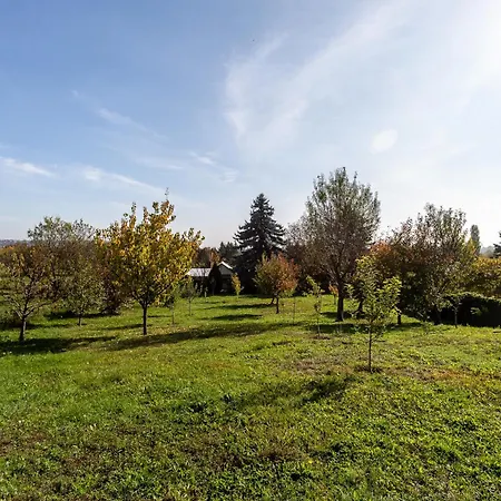 Balaton View From Almadi - Happy Appartement Balatonalmádi